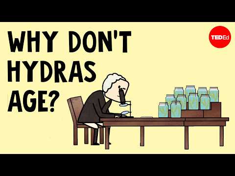 Why does this animal never age? - Raymond Adkins