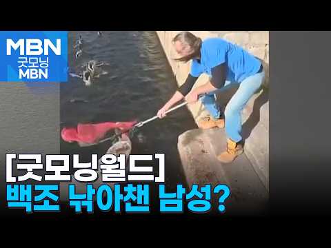 [굿모닝월드] 호수 위 백조 낚아챈 남성? [굿모닝 MBN]