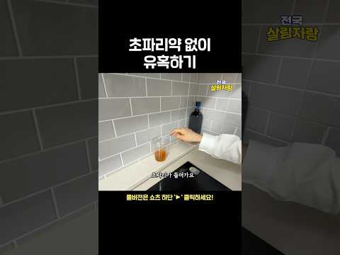 초파리약 없이 유혹하기