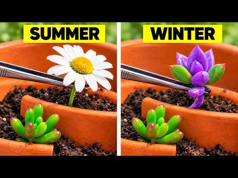 Gardening Hacks You'll Wish You Knew Sooner!
