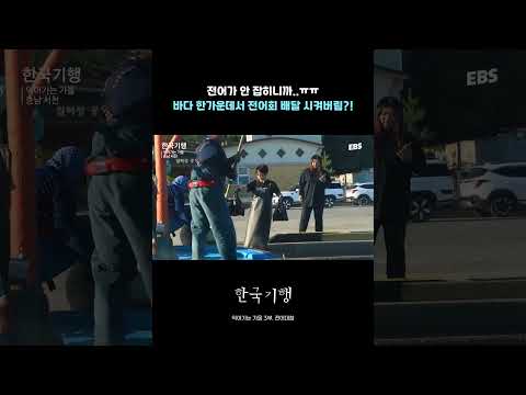 전어가 안 잡히면? 배달시키면 되지~ #한국기행 #전어 #전어잡이 #바다