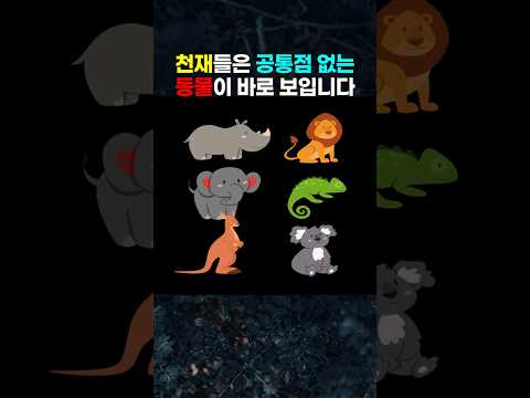 천재들은 공통점이 없는 동물이 바로 보입니다