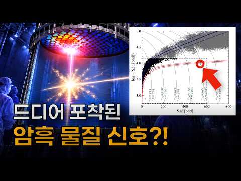 길고 길었던 싸움의 끝이 보일지 모릅니다.