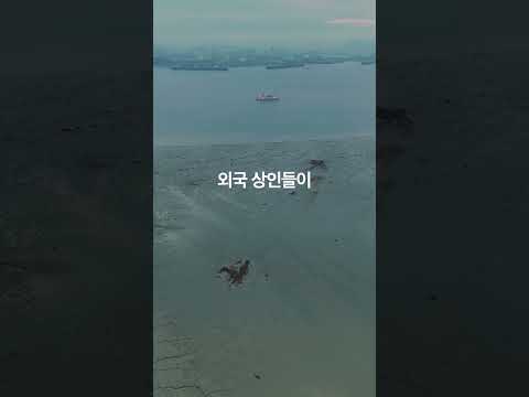#수백년간 바다를 덮어 만든 도시