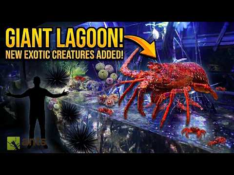 I Added New Exotic Creatures Into My Giant Lagoon Vivarium | S8: E4