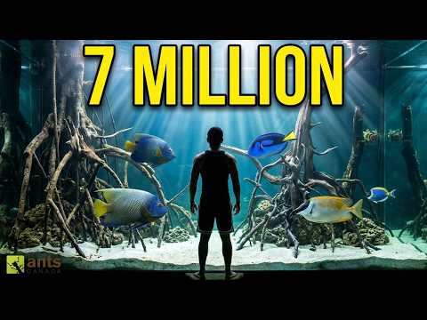 I Added Fish into My Giant Lagoon Vivarium (7 Million Subscribers Episode) | S8: E2