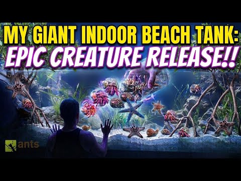 I Released Exotic Creatures Into My Giant Lagoon Vivarium | S8: E1