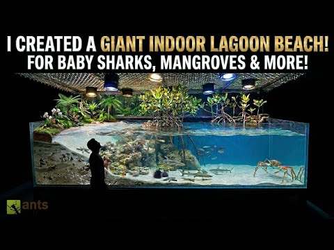 I Created a Giant Indoor Lagoon Beach | S7: E14