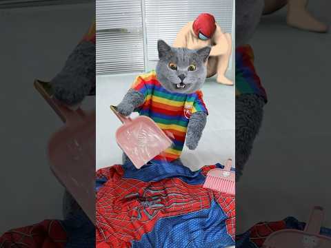 🥺Don't Forget To Wrap Trash To Protect Furry Friends!🐈❤️ #catvideos #catmemes #trending