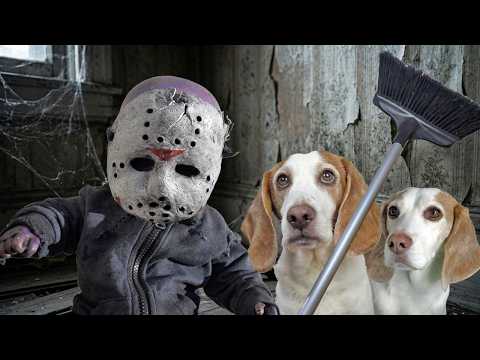 Can These Dogs Defeat Baby Jason with a Broom?