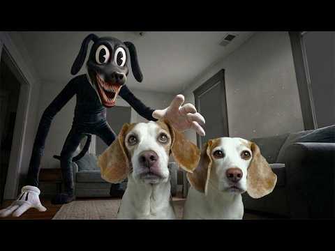 Cartoon Dog vs REAL Dogs - Who Will Win?