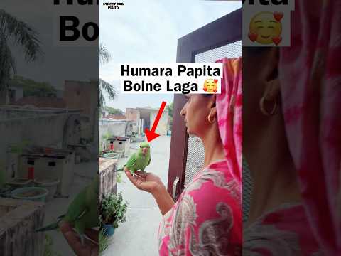 Humara Parrot पपीता Bolne लगा 🥰