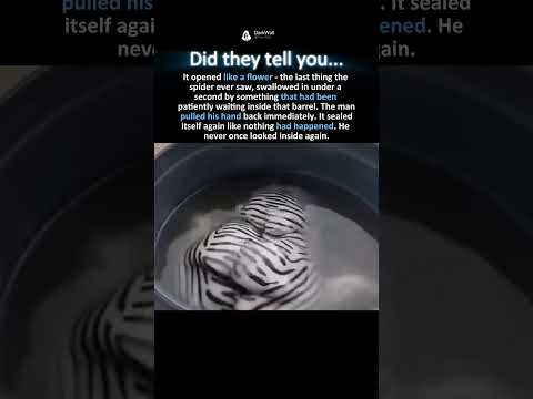 THE BARREL THING