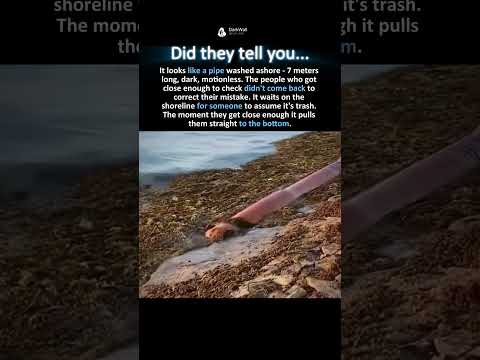 THE PIPE THAT PULLS