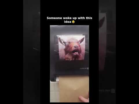 My humor is exactly this bad 🤣🐐 subscribe for more #shorts
