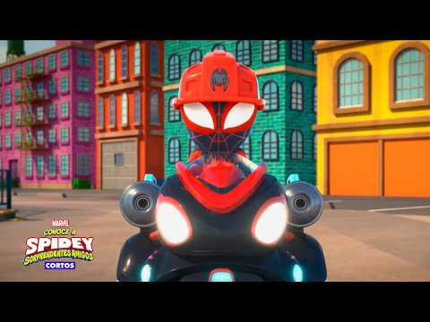 ¡Vamos Rescata-telarañas! | Corto | Conoce a Spidey y sus sorprendentes amigos
