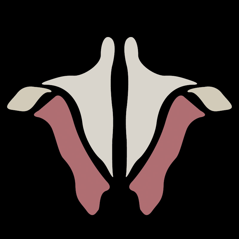 Institute of Human Anatomy YouTube channel avatar