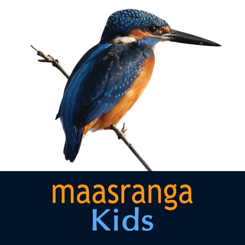 Maasranga Kids YouTube channel avatar