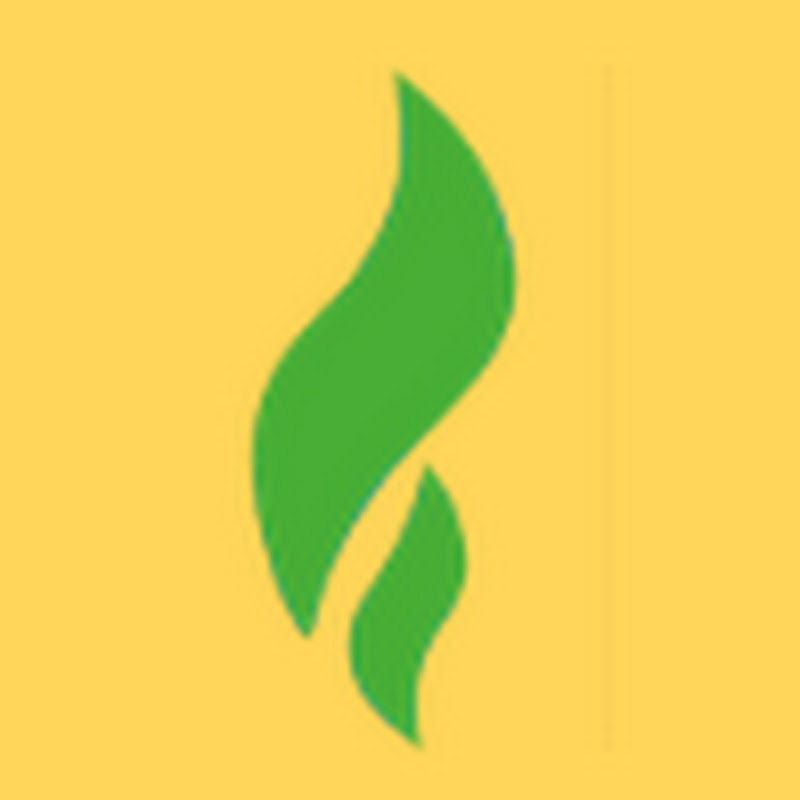 LYFE Accounting YouTube channel avatar