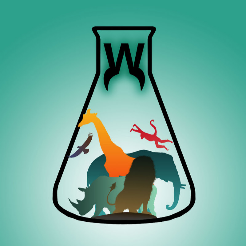 WildCiencias YouTube channel avatar