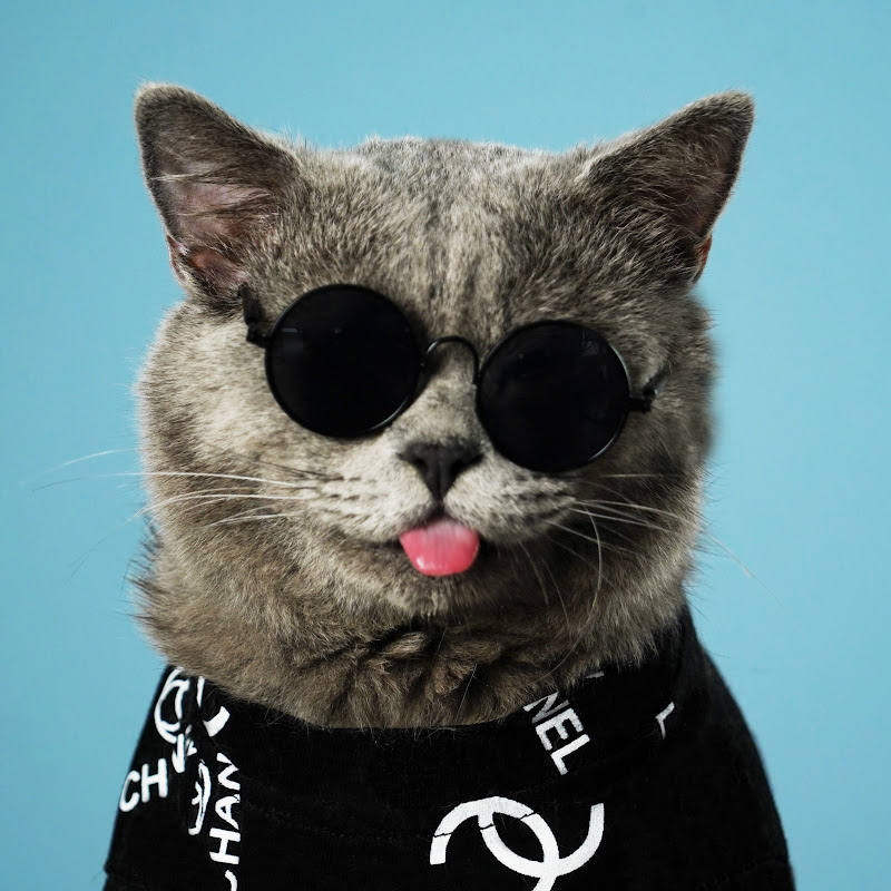 Oscar's Funny World YouTube channel avatar